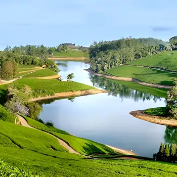Green Valley View